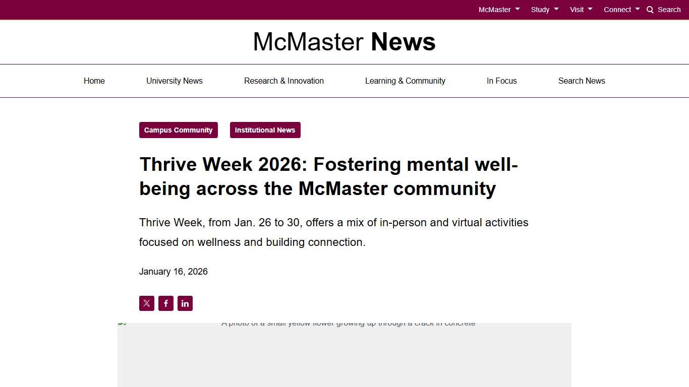 Thrive Week 2026: Fostering mental well-being across the McMaster community   - McMaster News